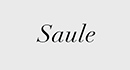 株式会社Saule
